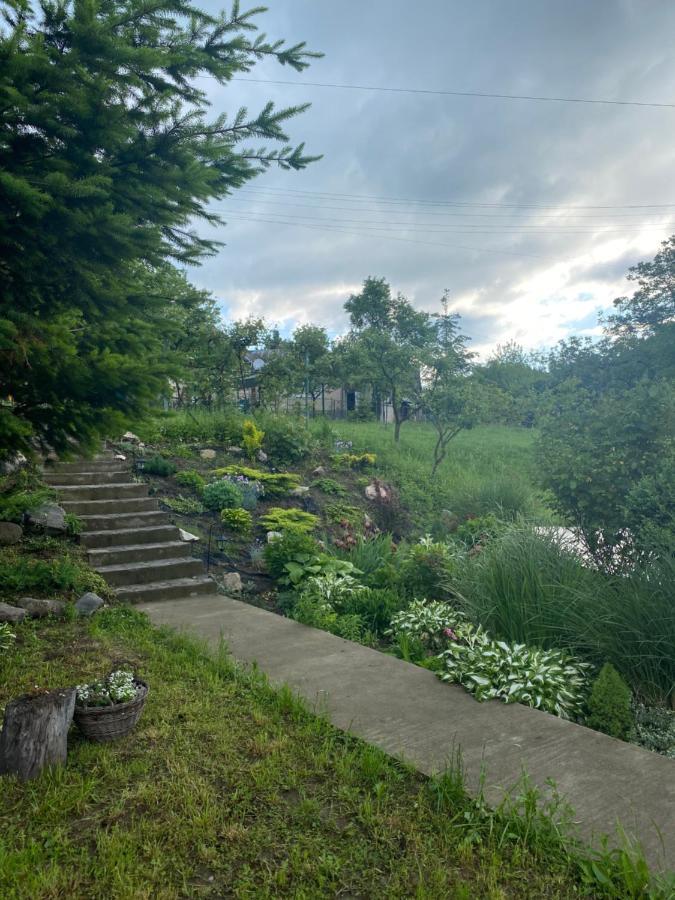 Holiday Home Usadba Novoselitsa Exterior photo