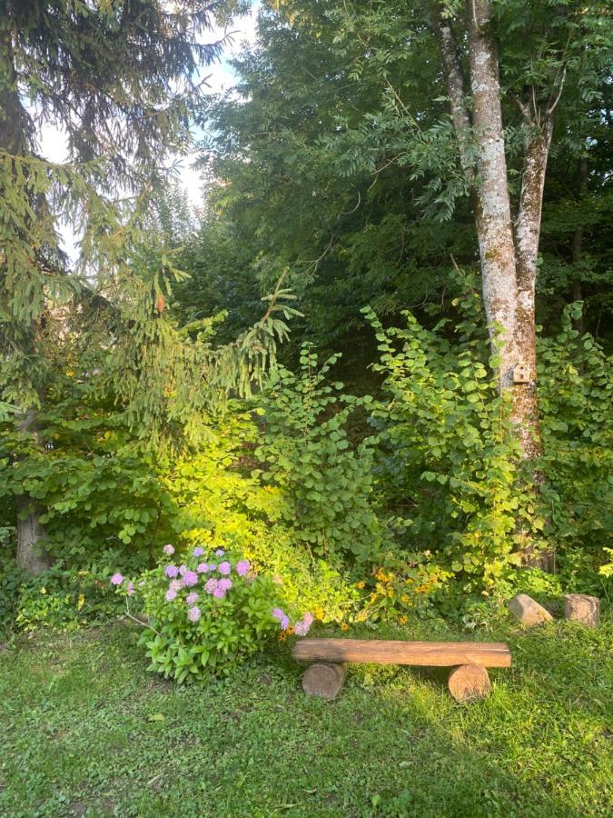 Holiday Home Usadba Novoselitsa Exterior photo