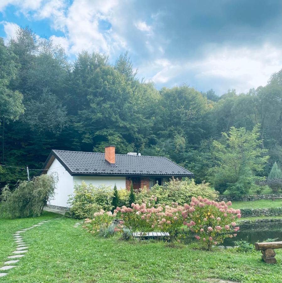 Holiday Home Usadba Novoselitsa Exterior photo