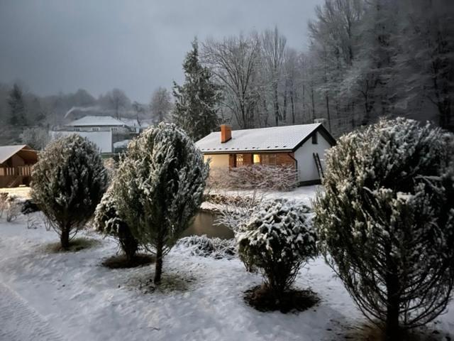 Holiday Home Usadba Novoselitsa Exterior photo
