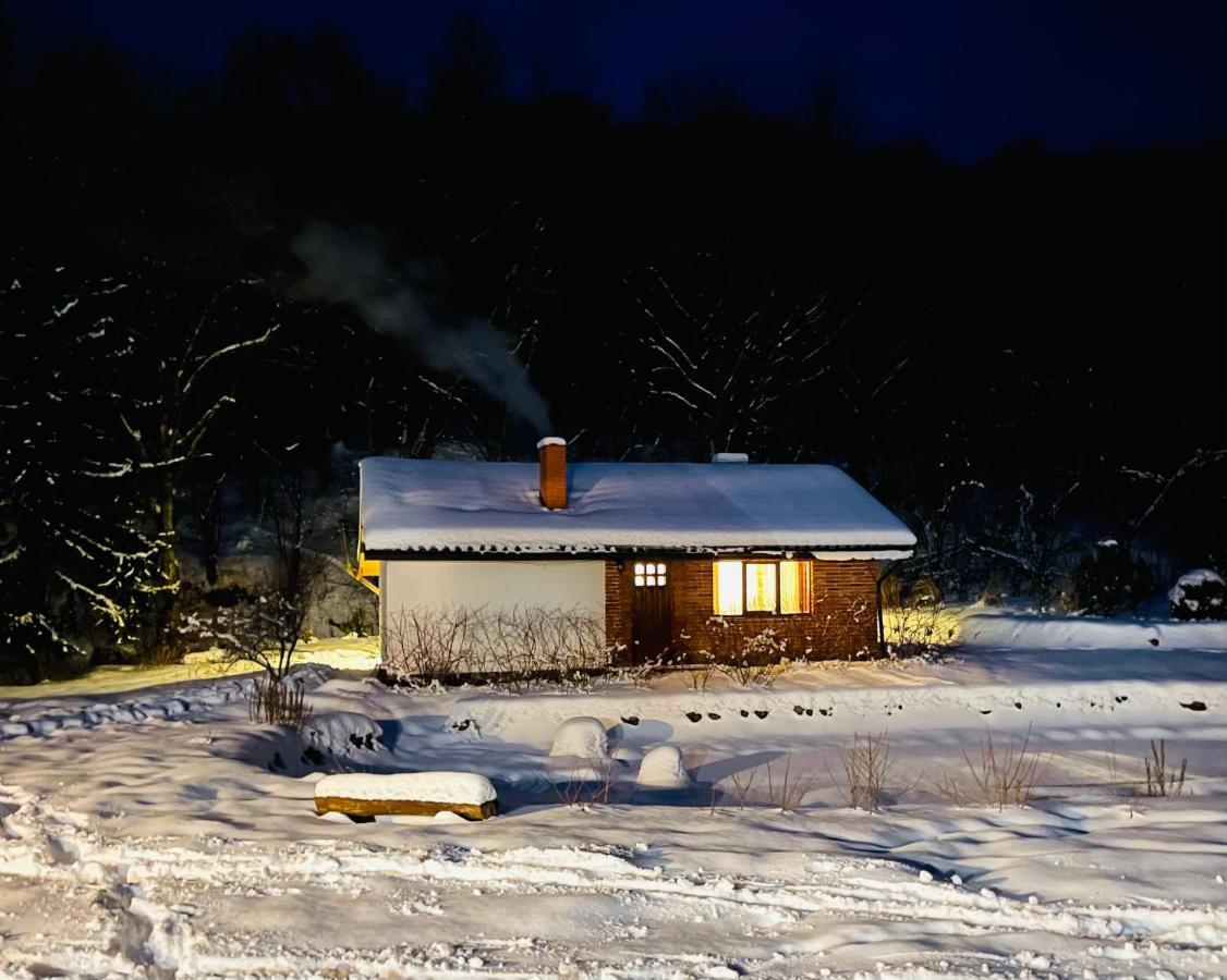 Holiday Home Usadba Novoselitsa Exterior photo