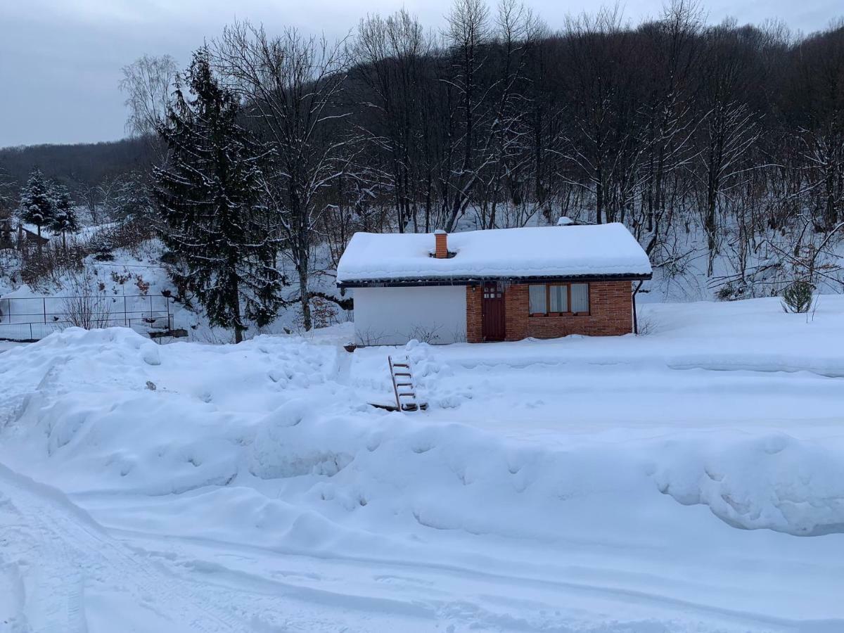 Holiday Home Usadba Novoselitsa Exterior photo