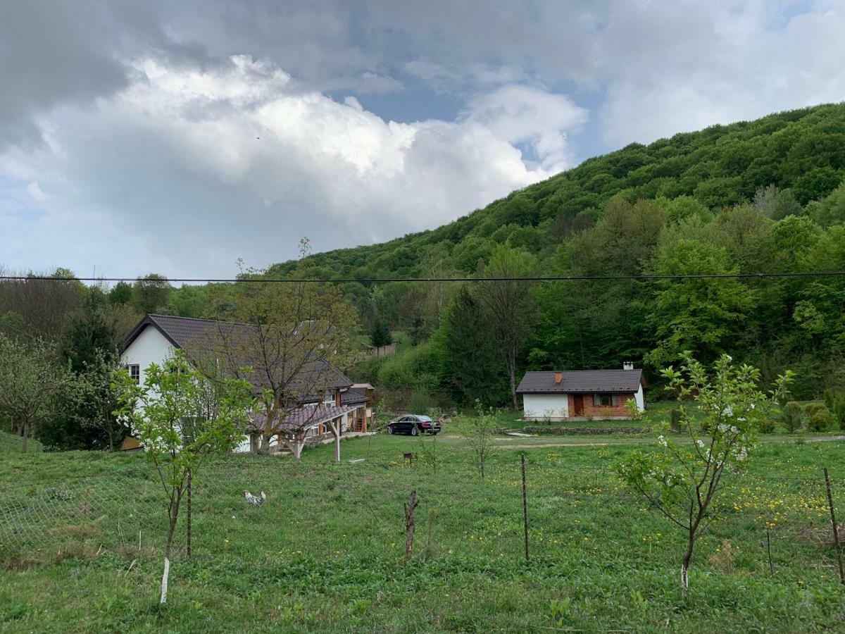 Holiday Home Usadba Novoselitsa Exterior photo